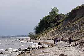 Brodtener Ufer - die Steilküste zwischen Lübeck-Travemünde und Timmendorfer Strand/Niendorf