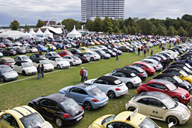 Beetle Sunshine Tour im Brügmanngarten in Lübeck-Travemünde