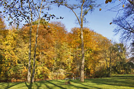 Dr. Heinrich-Zippel-Park in Travemünde