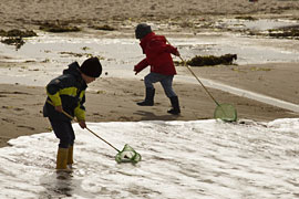 Strand-Entdecker