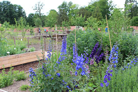 Küchengarten Eutiner Schlossgarten © Ulrike Unger - Stiftung Schloss Eutin