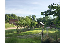 Lebender Zaun im Küchengarten Schloss Eutin