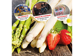 Möbel Kraft Bauern- und Regionalmarkt