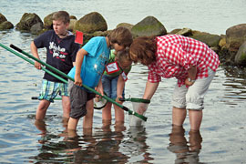 Ostsee entdecken © BUND-Umwelthaus Neustädter Bucht