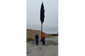 Riesenfackel am Strand © Timmendorfer Strand Niendorf Tourismus (TSNT)