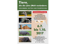 Plakat Ausstellung "Tiere, die die (Um-)Welt verändern" im Eiszeitmuseum