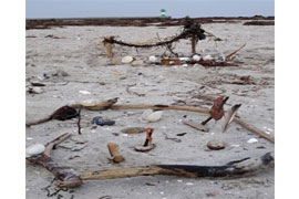 LandArt am Strand © Archiv LPV