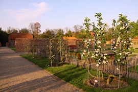 Kesselbäume im Frühjahr © Schloss Eutin
