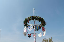 Maibaum © StS TSNT