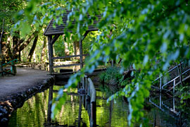 Kneipp-Becken Malente © Dirk Jakobs, Heide