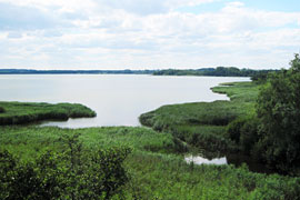 Blick vom Hermann-Löns-Turm auf den Hemmelsdorfer See