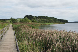 Naturschutzgebiet „Südlicher Priwall“