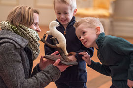 Familienführung © Schloss Eutin