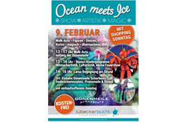 Plakat OCEAN MEETS ICE