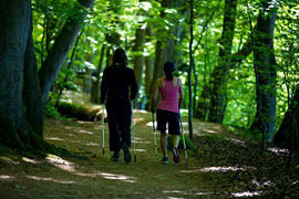 Nordic Walking © Dirk Jakobs