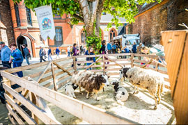 Europäisches Hansemuseum - Museumsfest © Olaf Malzahn