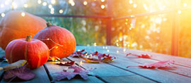 Indian Summer © Konstiantyn stock.adobe.com