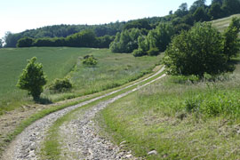 Wanderung Nienthal © Schleswig-Holsteinisches Eiszeitmuseum