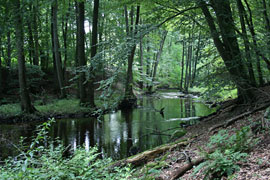 © Naturpark Holsteinische Schweiz 