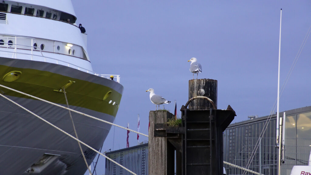 MS Hamburg in Travemünde 2021 © TraveMedia