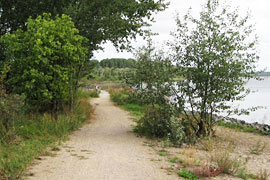 Priwall im Naturschutzgebiet