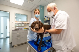 Tierklinik Neustädter Bucht GmbH & Co KG © Norbert Adams https://seinunddesign.de; 