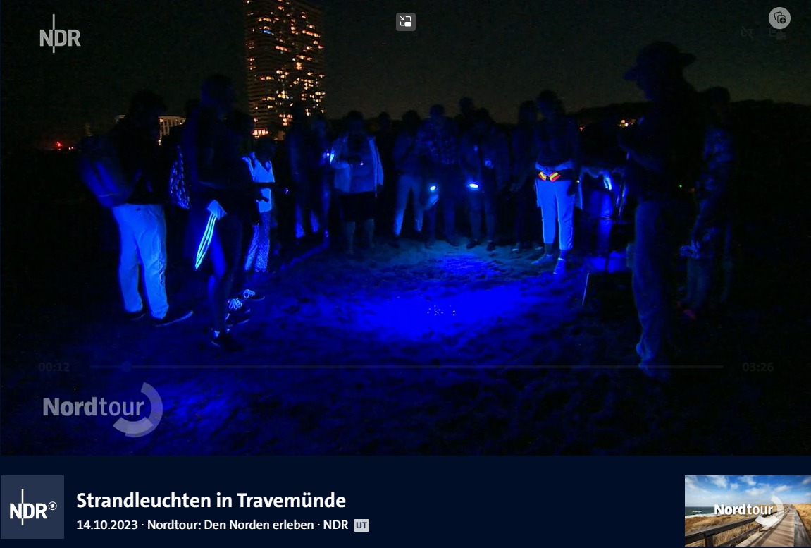 Strandleuchten in Travemünde. Bericht Nordtour NDR © NDR