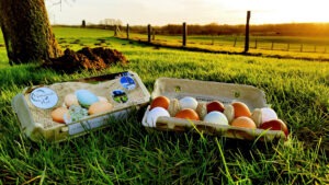 Hof Naturnah Eier © Naturnah