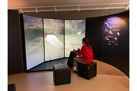 „Grundwasser lebt“ – virtuelles U-Boot © Museum für Natur und Umwelt Lübeck