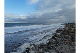 Strand in Hohenfelde kurz nach der Sturmflut im Oktober 2023 © Dietrich Petter