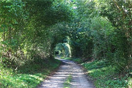 Knickwanderung © S. Fuhrmann