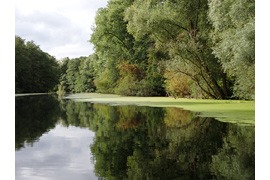 Wakenitz © Rolf Albert Museum für Natur und Umwelt