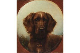 Johannes Christian Deiker – Hund (Setter) © Dr. Axe-Stiftung Bonn