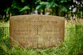 Jüdischer Friedhof Moisling – Grab Neuengamme © SKW Foto Michael Haydn