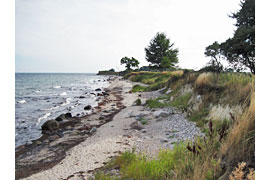 Fehmarn, Strand bei Staberhuk © TraveMedia