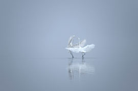 Ein Lied © Monika Lawrenz