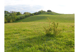 Wanderung © Sonja Fuhrmann