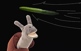 Musiktransfair „Liederliches Kinderkonzert mit Schnick-Schneck © Julia Weber