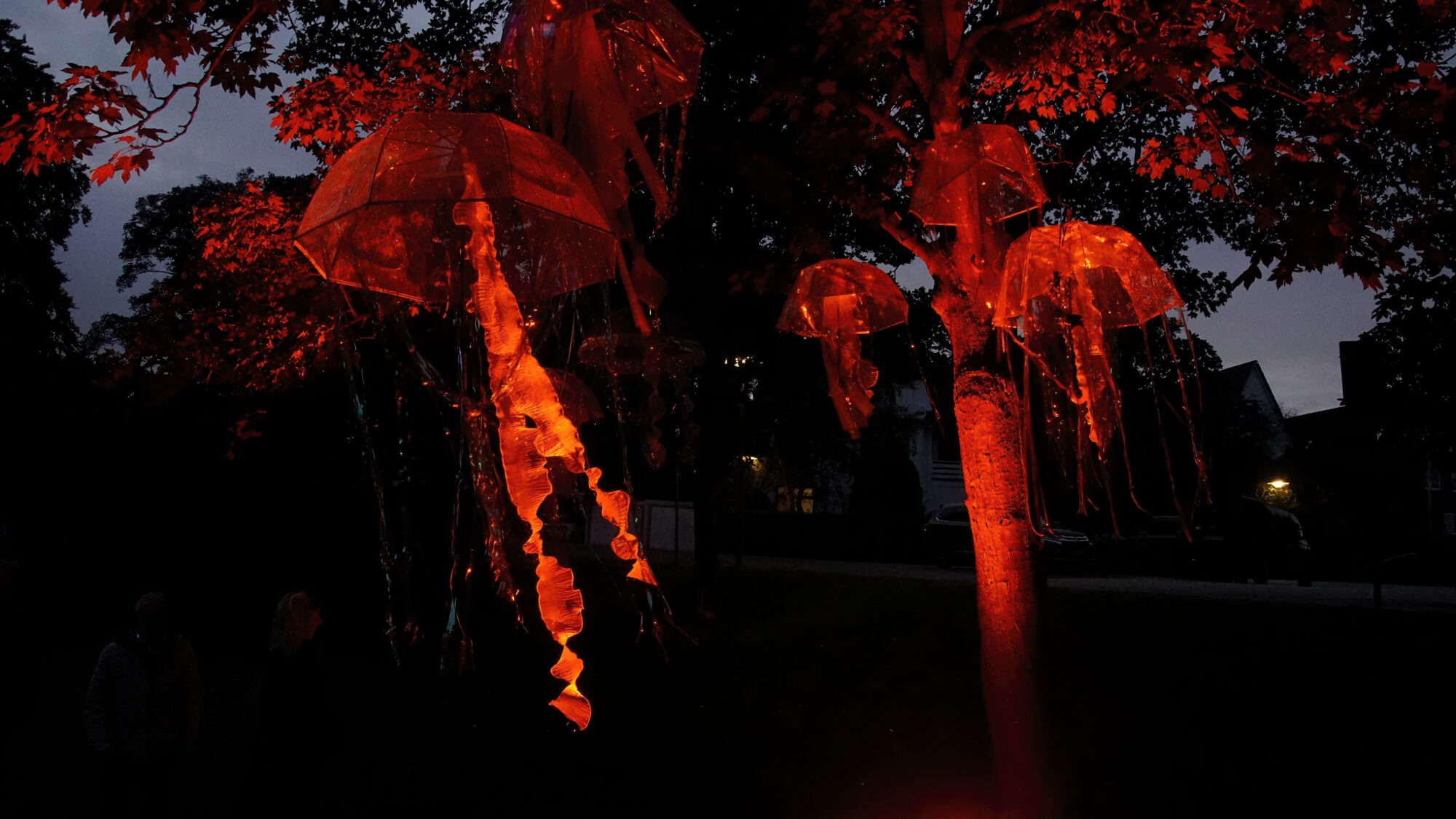20250918 Travemünder Lichterfest 2025 © TraveMedia %Travemünde © TraveMedia%