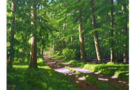 Waldweg, 2024 © Hermann Reimer