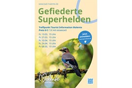 Plakat Führung „Gefiederte Superhelden“ © Malente Tourismus- und Service GmbH