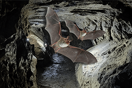 %Travemünde © TraveMedia%