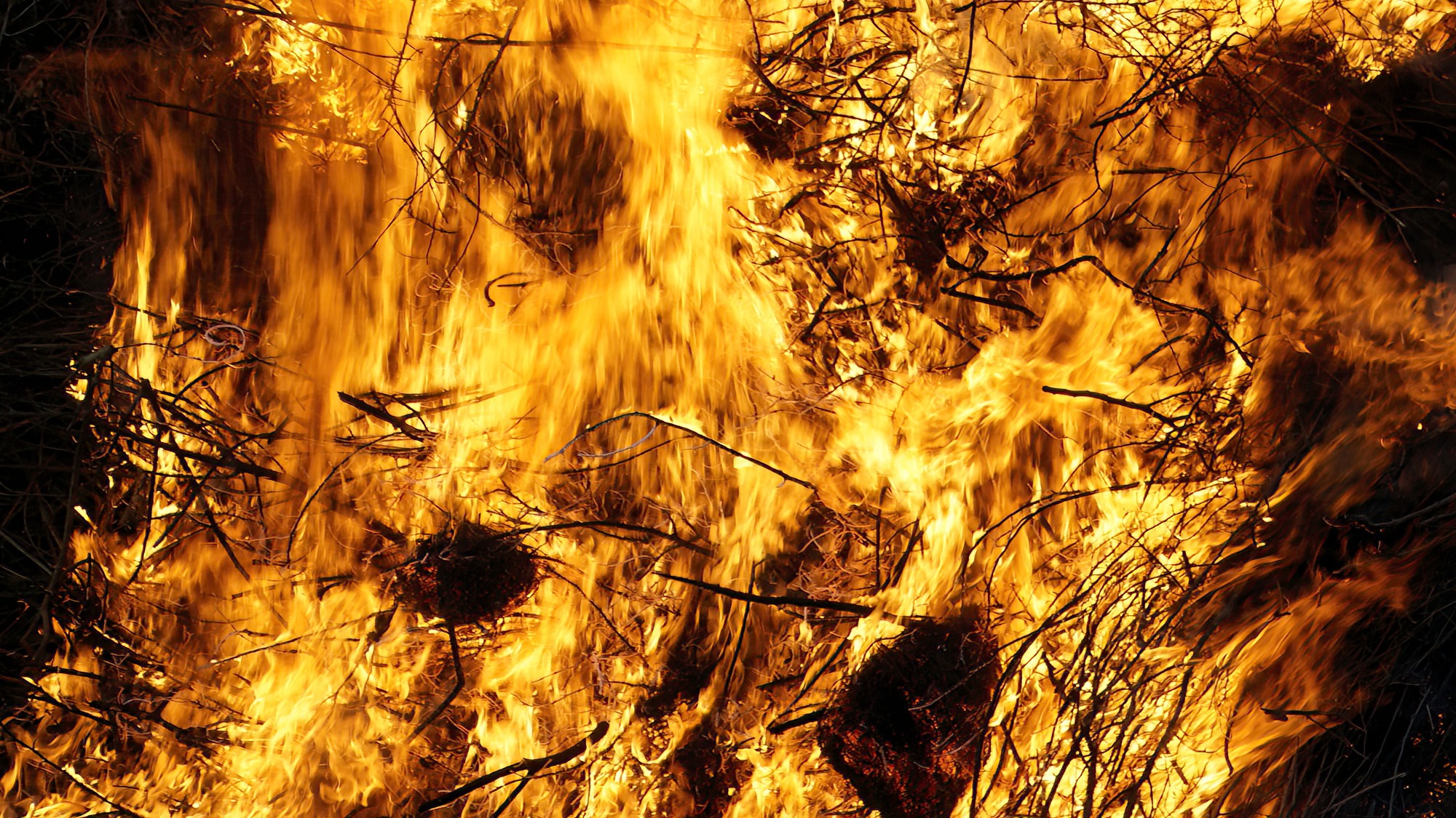 %Travemünde © TraveMedia%