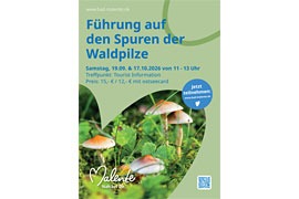 Plakat Pilzwanderung Malente 2026